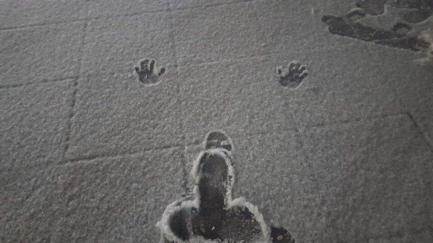 아이고 눈이 왔네_1.jpg