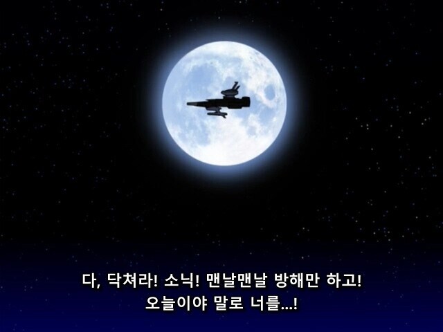 소닉) 의외로 제일 소닉 빠돌이 캐릭터_8.jpg