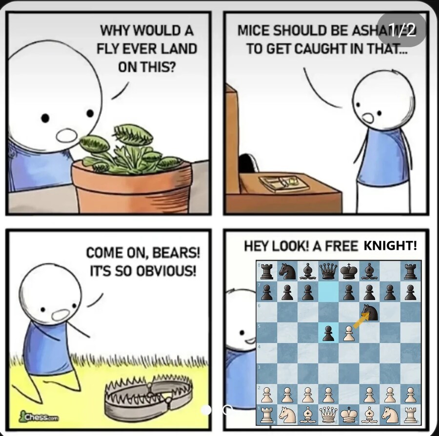 동물들은 진짜 멍청해 이런 덫에 낚여?_1.png