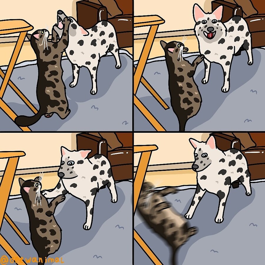 싸움은 역시 체급차,.._1.jpg