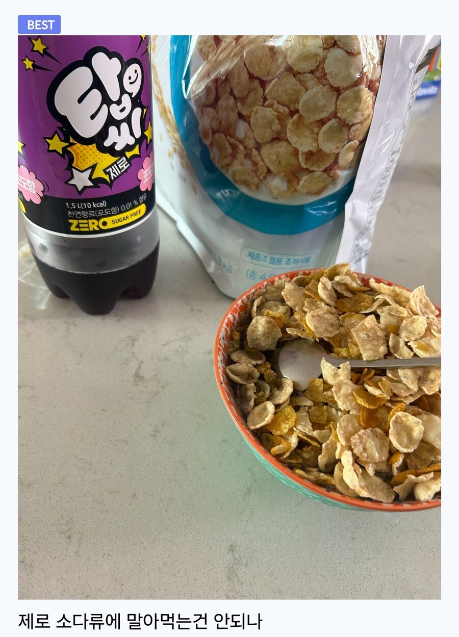 루리웹 "시리얼을 김치찌개에 말아먹으면 존맛" 베댓_1.jpg