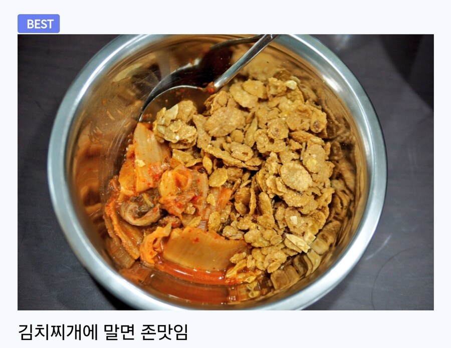 루리웹 "시리얼을 김치찌개에 말아먹으면 존맛" 베댓_2.jpg
