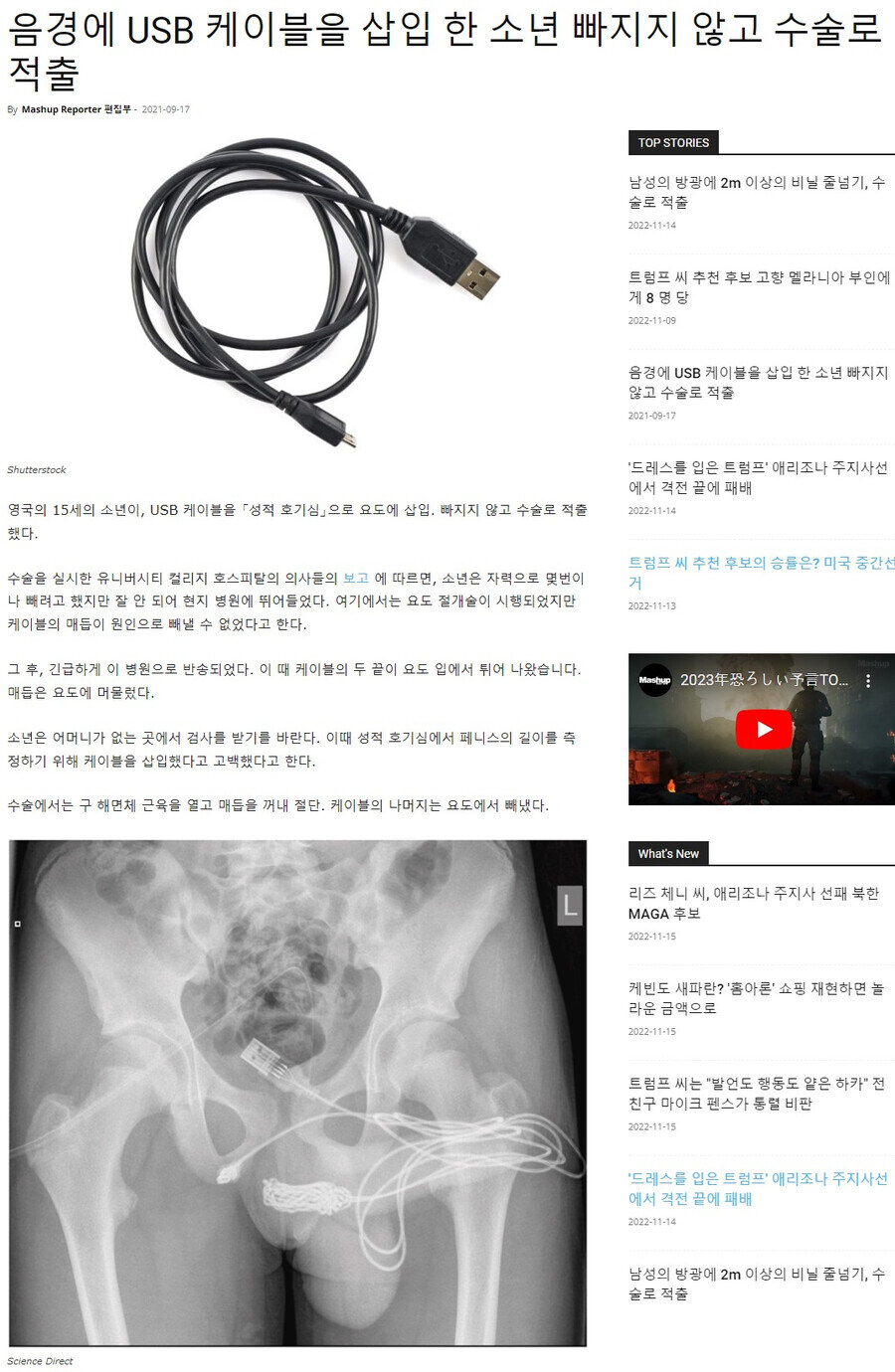 혐)출구를 입구로 사용한 자들의 최후_2.jpg