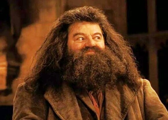 해리포터) 본편 기준 가장 위험한 마법 생물_5.jpg