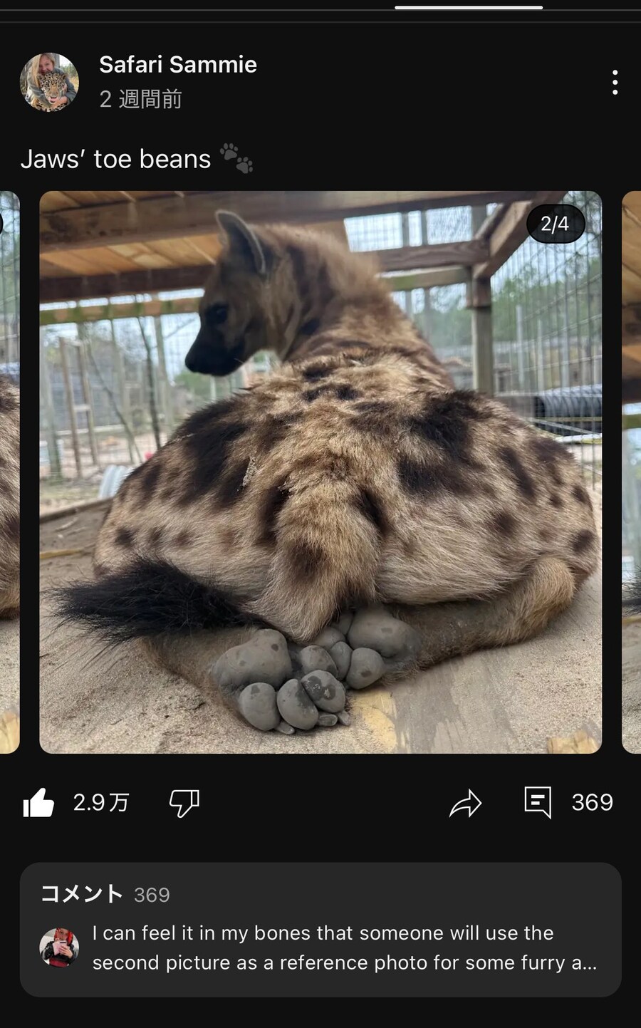 하이에나의 은밀한곳_1.jpg