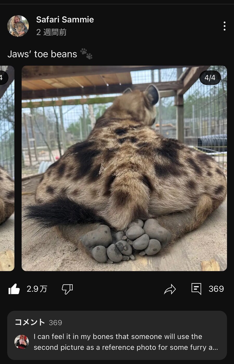 하이에나의 은밀한곳_2.jpg