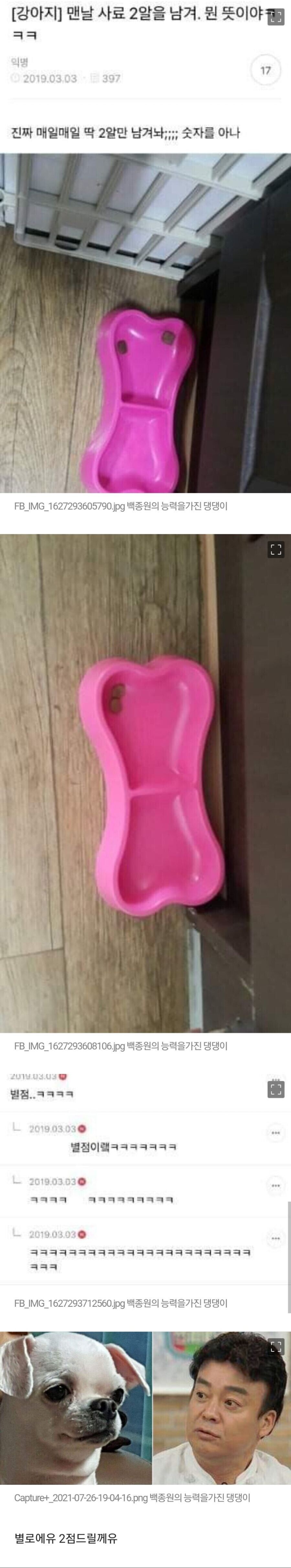 맨날 사료 2알을 남기는 강아지_1.jpg