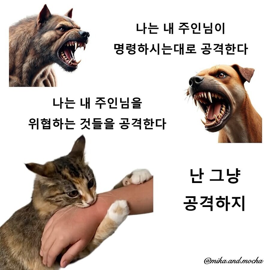 개와 고양이의 차이점_1.jpg