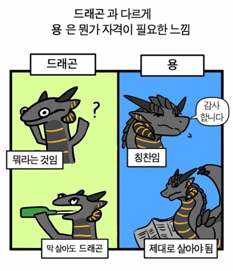 간단하게 보는 용과 드래곤의 차이.manwha_1.jpg