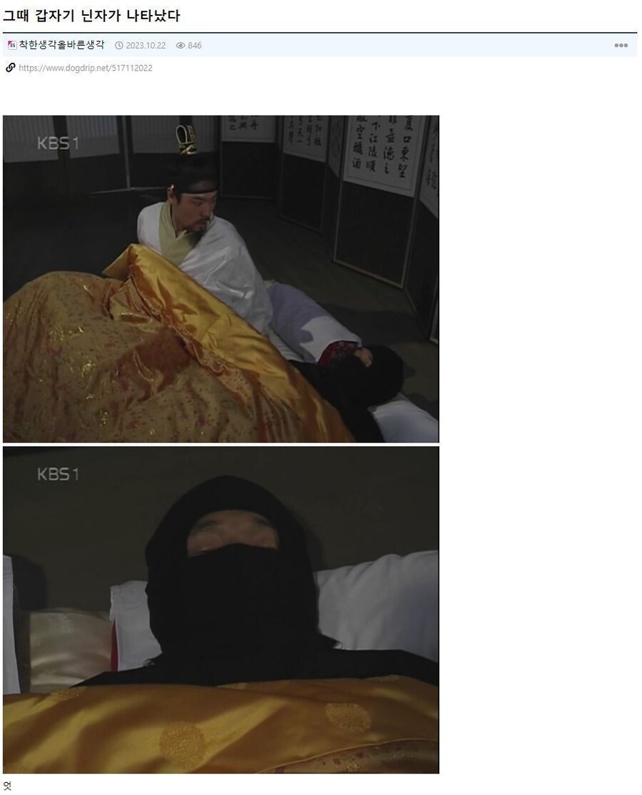 닌자가 나타났을때 살아남을 수 있는 유일한 방법_1.jpg