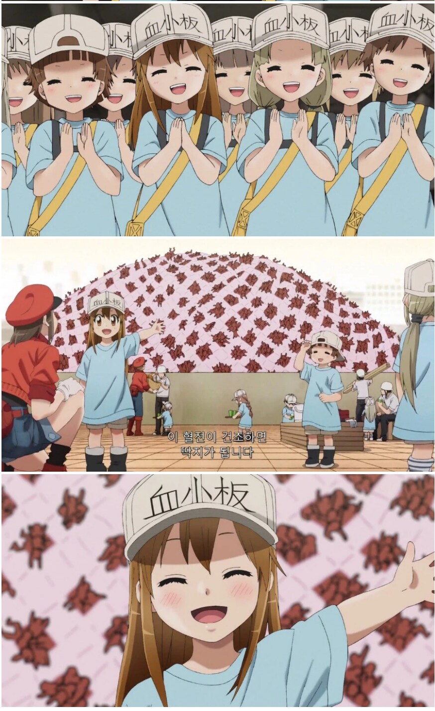 상처가 치료되는 과정.jp_5.png