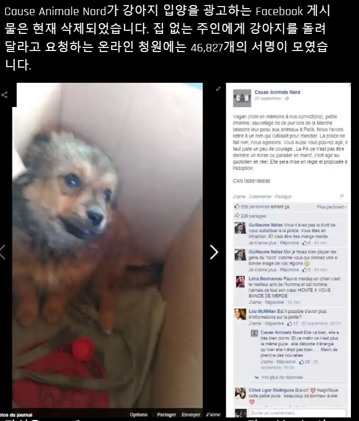프랑스에서 동물보호단체가 욕 거하게 먹었던 사건.MP4_2.png