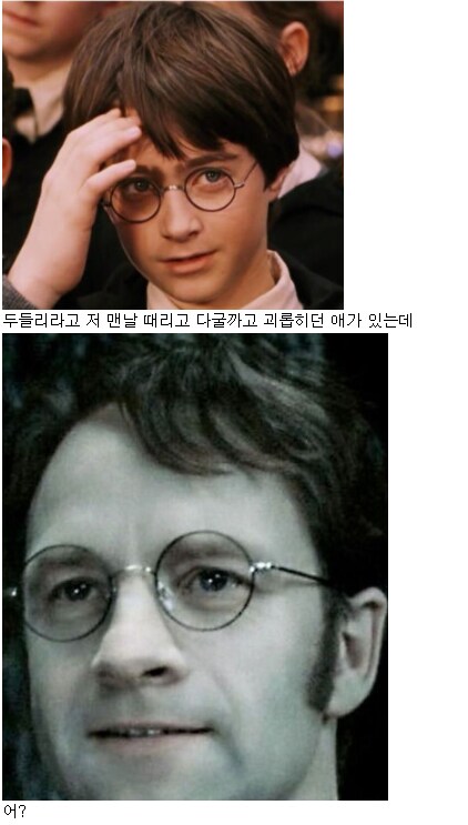 해리포터)제임스vs스네이프 논란에 종결찍는게 가능한 캐릭터_5.png