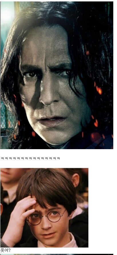 해리포터)제임스vs스네이프 논란에 종결찍는게 가능한 캐릭터_7.png