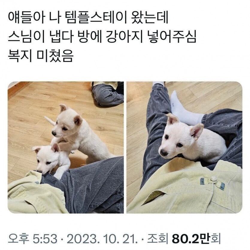 템플스테이 왔는데 복지 미쳤음_1.jpg
