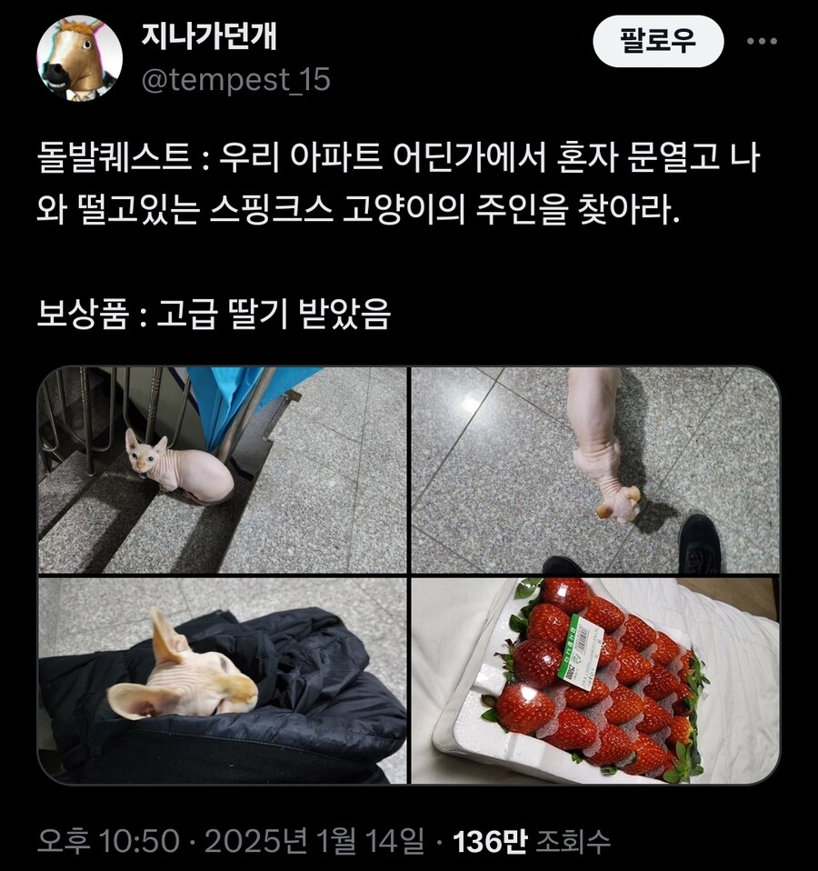 아파트에서 돌발 퀘스트 받은 사람.x_1.jpg