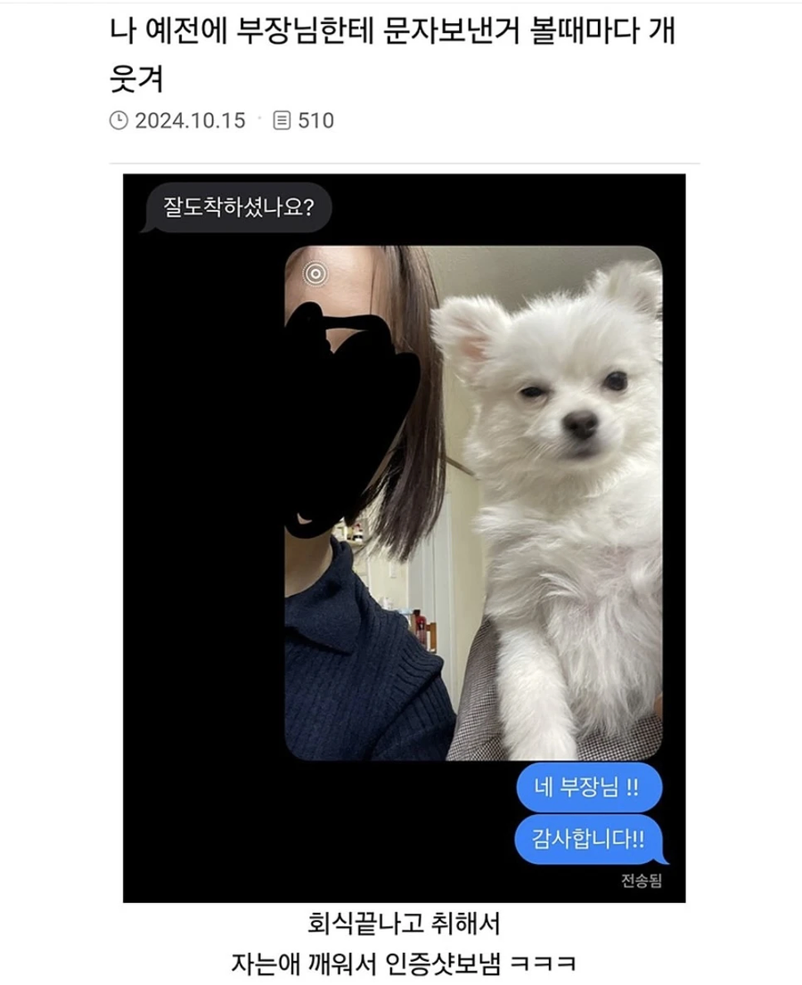 회식 끝나고 취해서 부장님한테 보낸 문자_1.webp