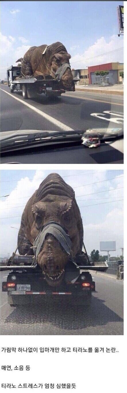 동물학대다 vs 어쩔 수 없다.jpg_1.jpg