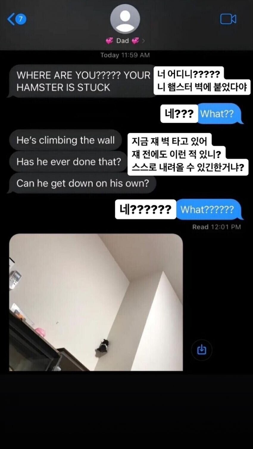 아빠가 딸에게 "너가 키우는 햄스터가 탈출했다"며 보내온 문자.jpg_1.jpg