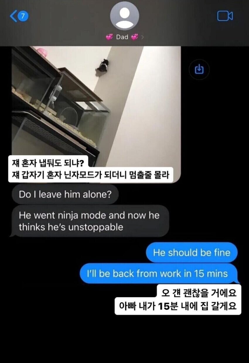 아빠가 딸에게 "너가 키우는 햄스터가 탈출했다"며 보내온 문자.jpg_2.jpg