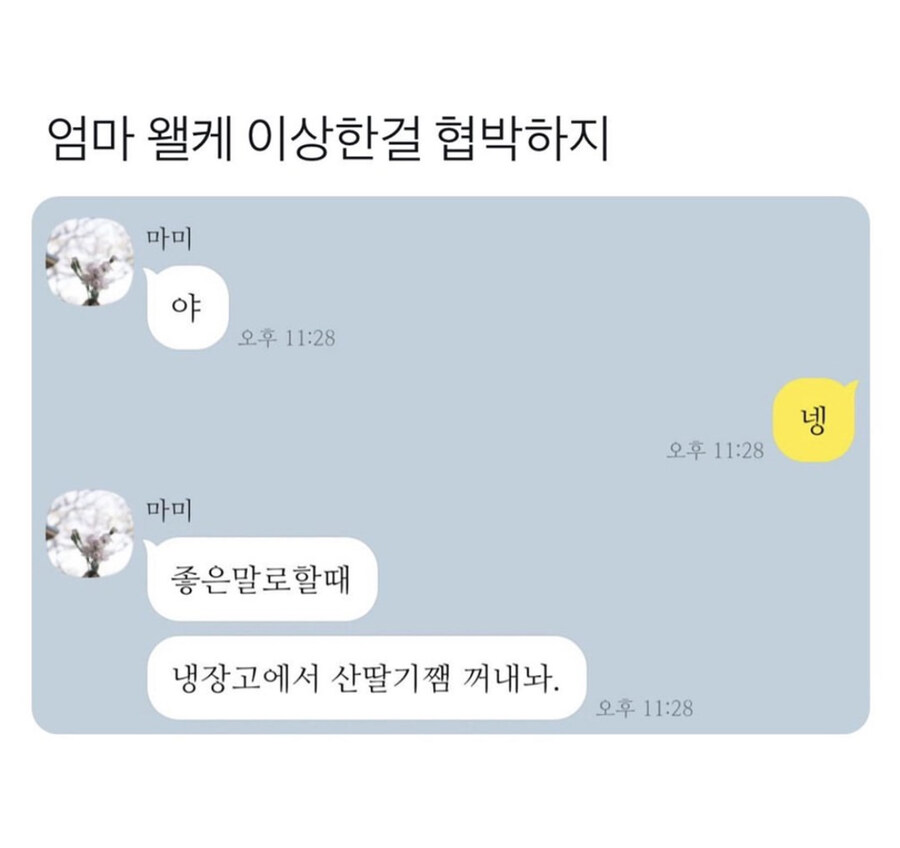엄마 왤케 이상한걸 협박하지.jpg_1.jpg