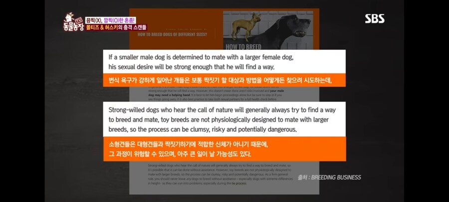 방송 5년만에 신동엽이 밝힌 방송불가였던 동물농장 말스키 탄생의 비밀_13.jpg