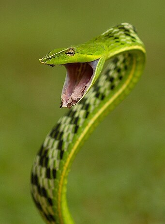 소설만화영화애니 이야기만 하는 이유_5.png