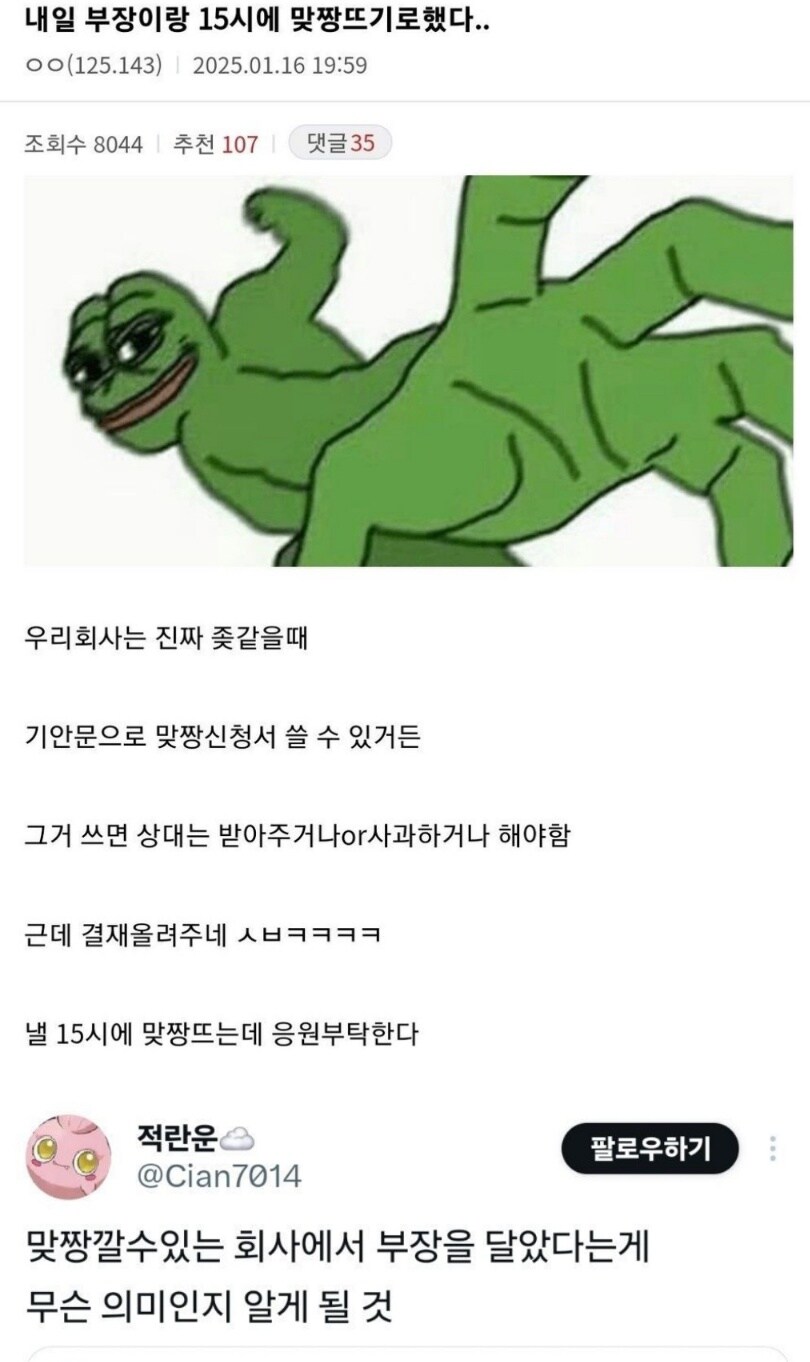 내일 부장이랑 15시에 맞짱뜨기로 했다.._1.jpg