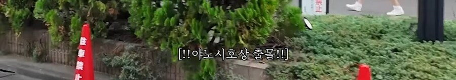 일본 편의점을 소개하는 추성훈.jpg_36.jpg