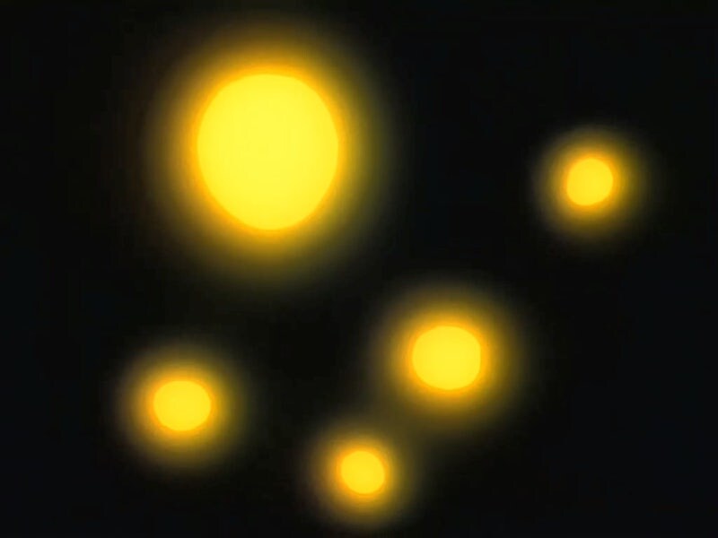 1990년대 순정만화 주인공 커플이 교미하는 과정_25.jpg