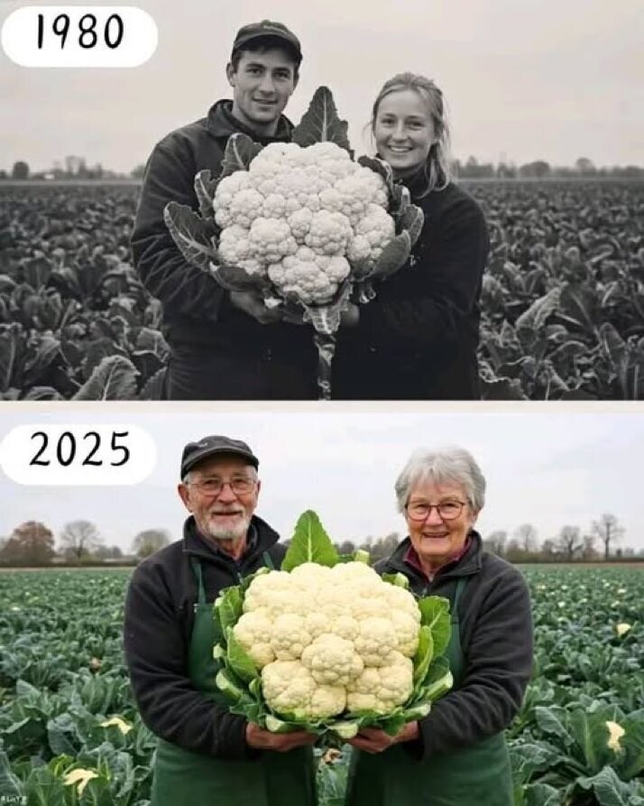 많이들 같이 맹세하지만 의외로 지키기 힘든 맹세_1.jpg