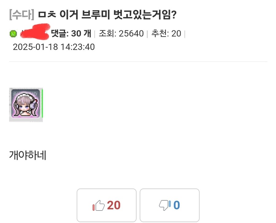메이플 안드로이드 브루미_2.jpg