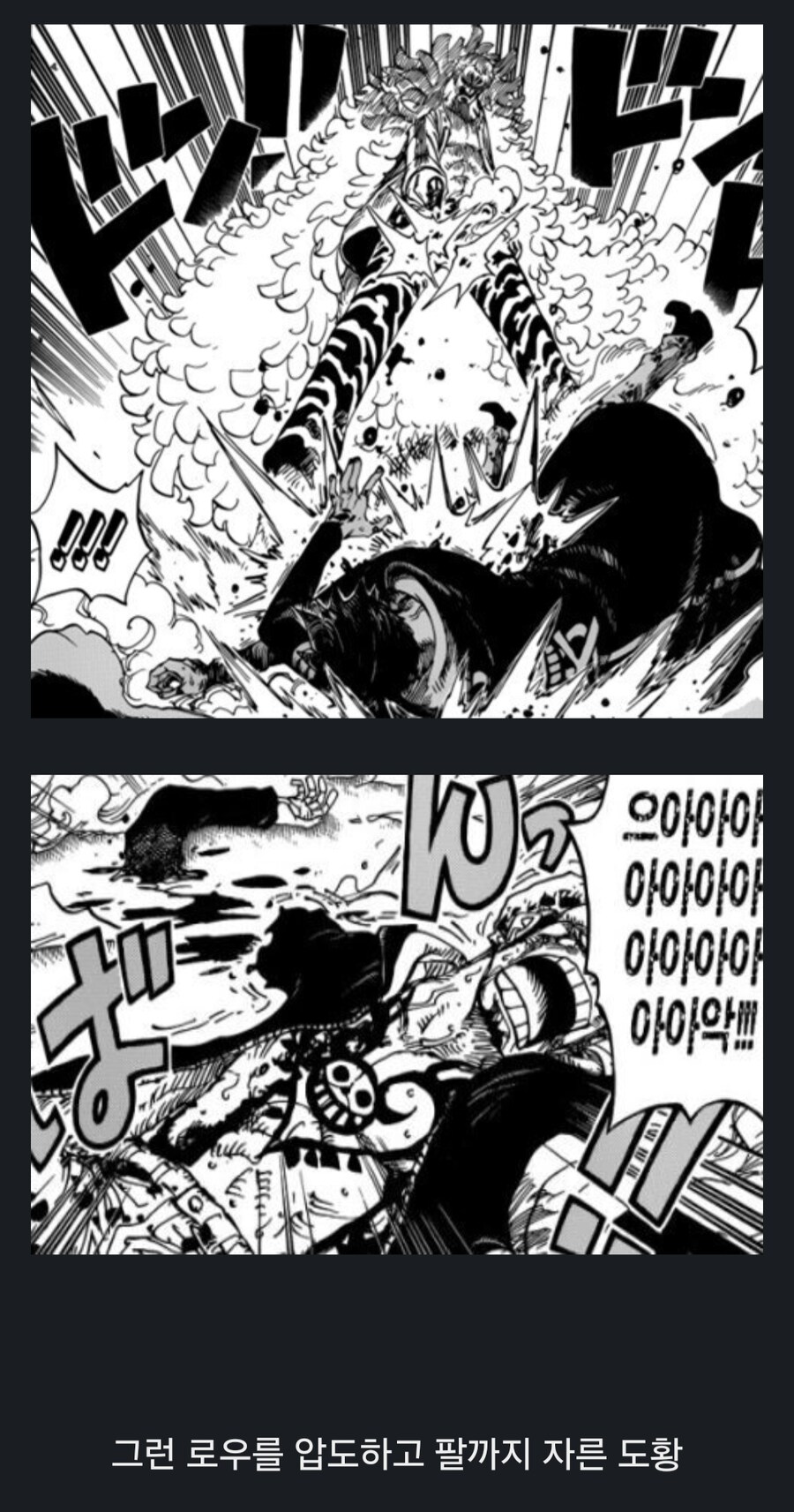 원피스 최강의 떡상의 화신, 과연 그는 대체 누구인가?_15.png