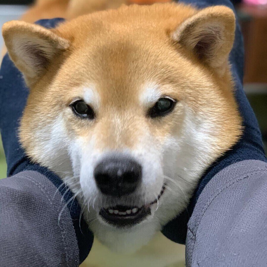 정말로 진인한 게임패드 제조공정_4.jpg