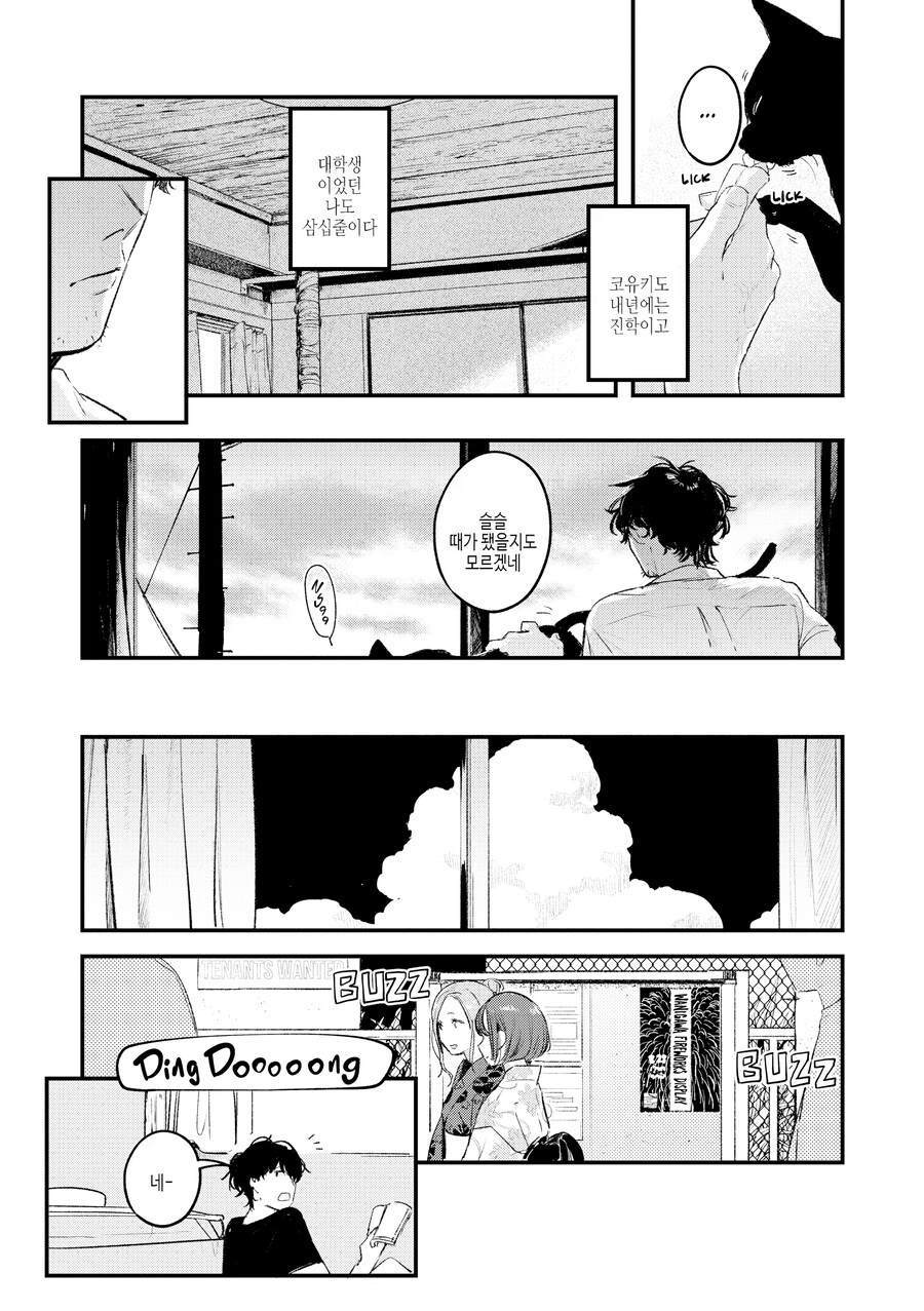 야생 고양이로 맺어진 인연.manhwa_6.png