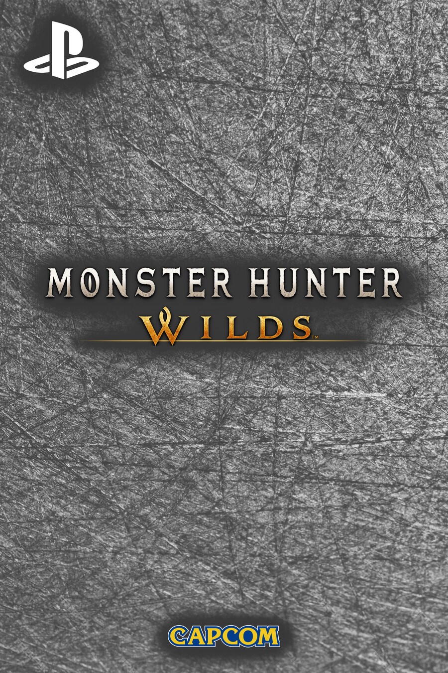 몬스터헌터 와일즈 PS5 케이스 커스텀 !!_3.png