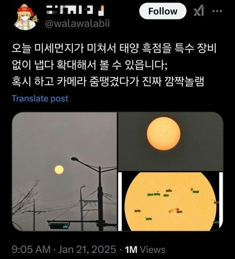 극히 드물게 얻어 걸리는 매우 나쁨 수준의 미세먼지의 순기능.jpg_1.jpg