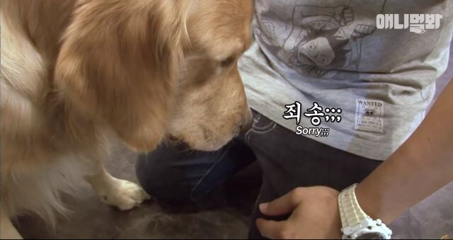 대충 햄스터 바나나)_1.jpg