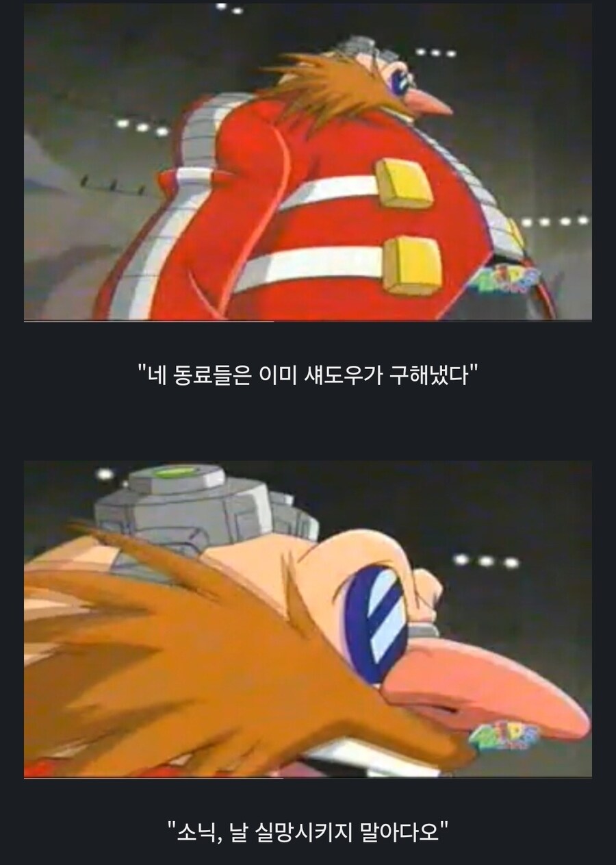 소닉) 의외로 폭주한 소닉을 진정시킬 수 있는 사람_2.jpg