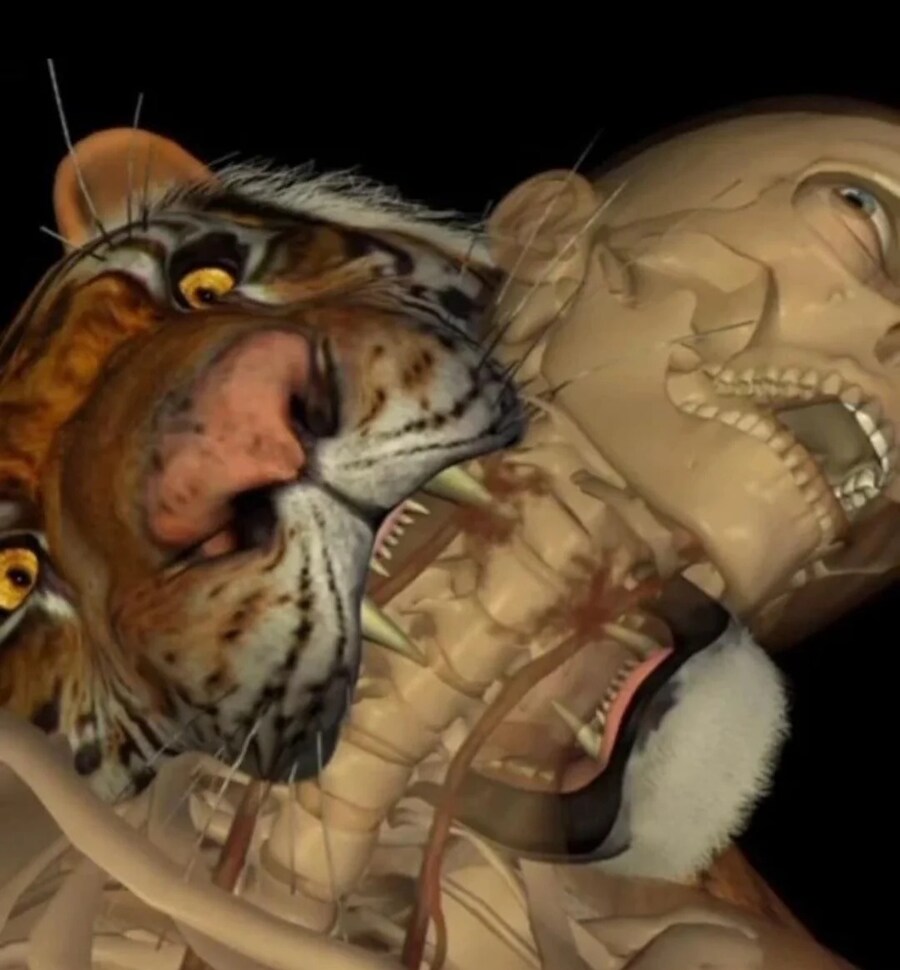 호랑이한테 물려가도 정신만 차리면 산다고요?_1.jpg