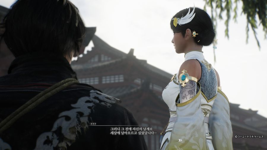 진 삼국무쌍 ORIGINS 견희_19.jpg