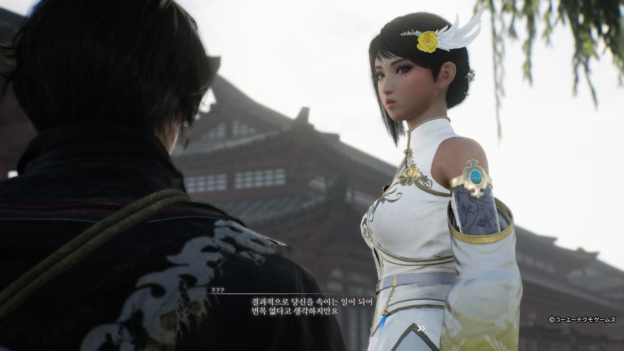 진 삼국무쌍 ORIGINS 견희_20.jpg