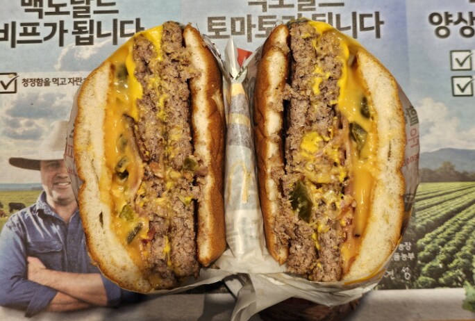 현재 핫하다는 '롯데리아 vs 맥도날드' 신메뉴 대결_3.png