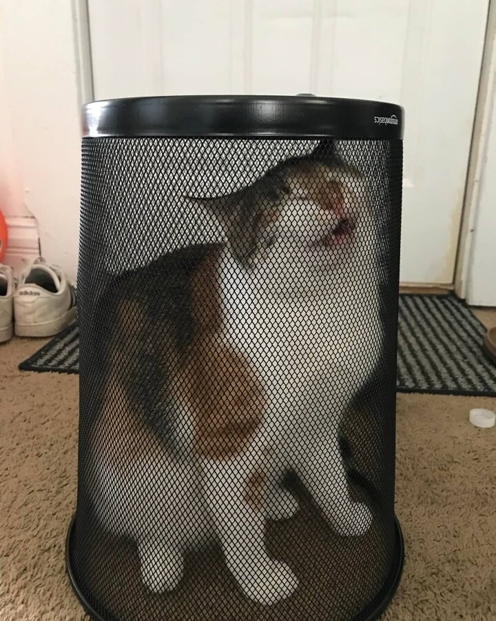 거기가 너의 새로운 감옥이다_1.jpg