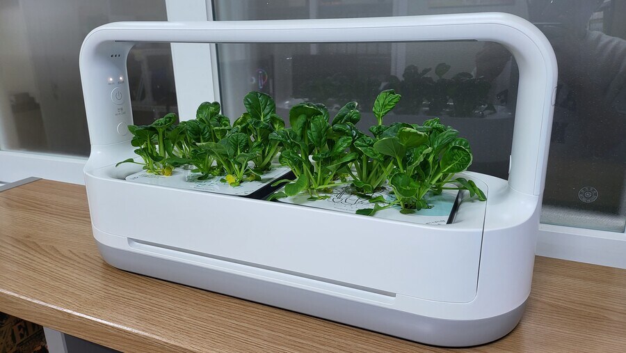 30대 중반 공돌이의 , 2025년 사무실 최신근황_39.jpg