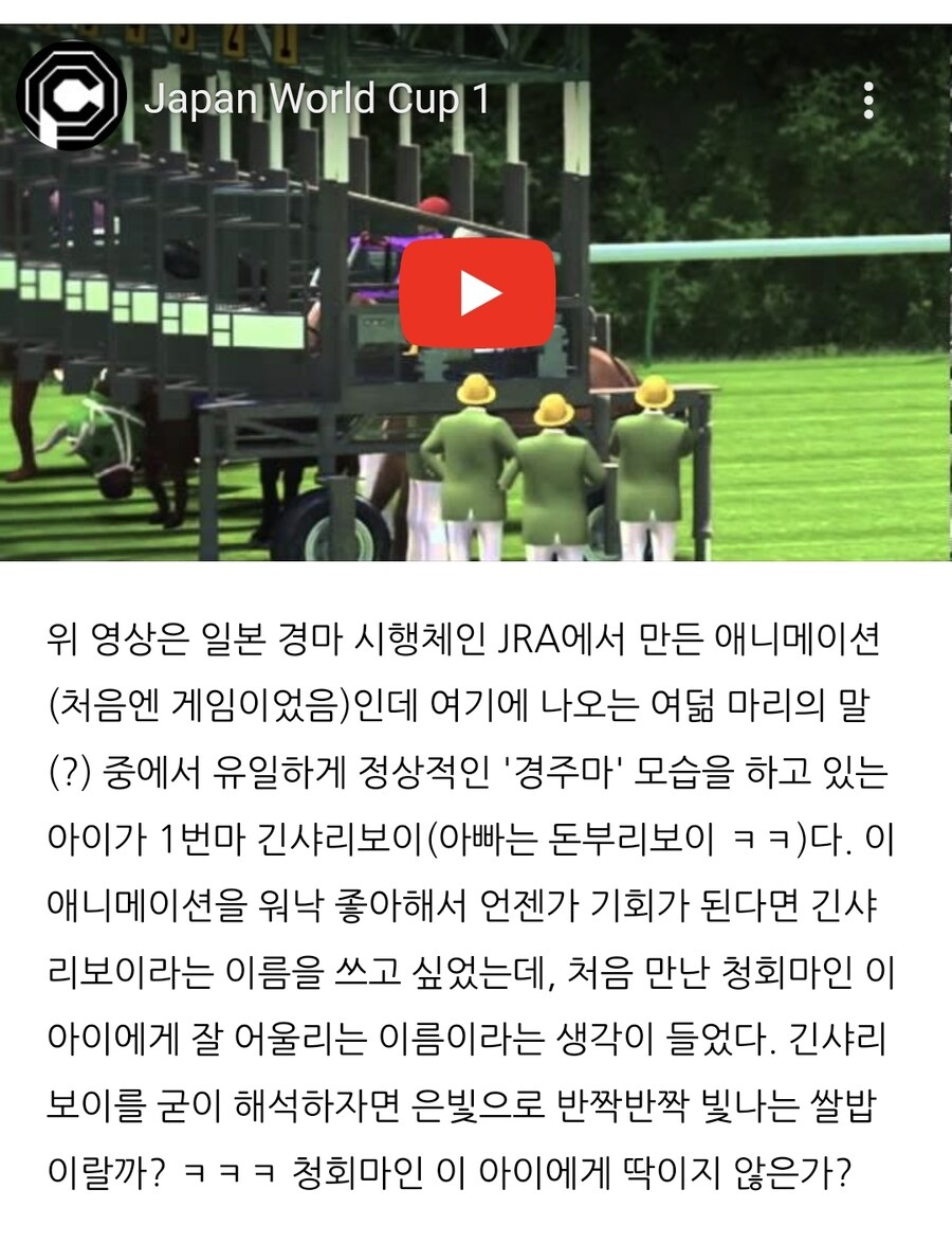 K-경마) 오늘 서울 1경주 우승마의 이름 및 유래._3.jpg