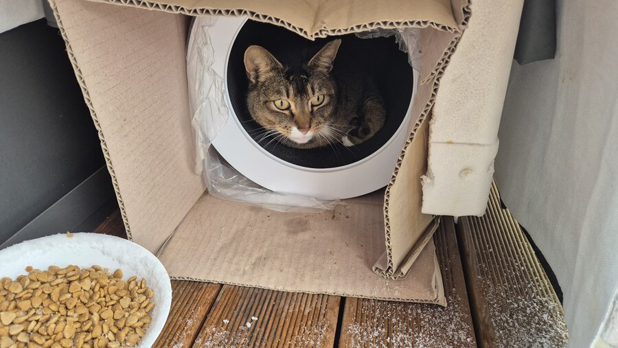 눈올때 시골 풍경_1.jpg