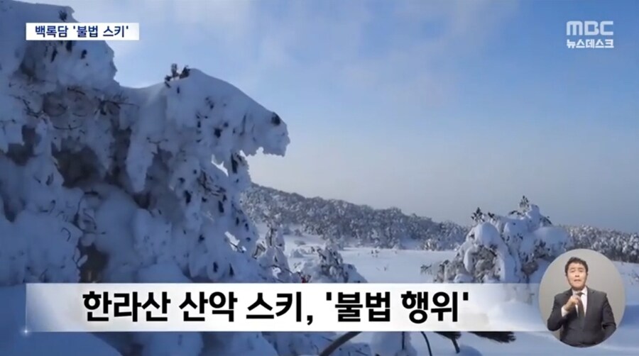 한라산에서 불법 스키?‥불법 알고도 버젓이_2.jpg