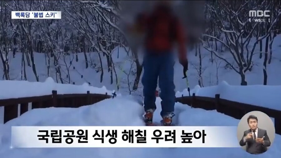 한라산에서 불법 스키?‥불법 알고도 버젓이_4.jpg