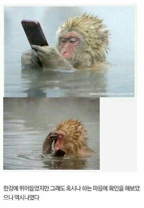 주식코인하는 사람들의 모습.jpg_1.jpg